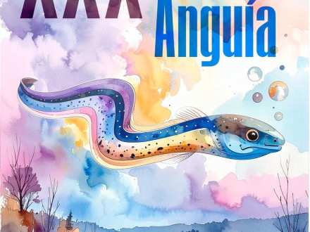 XXX Festa da Angu�a